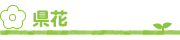 県花