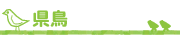 県鳥