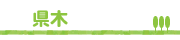 県木